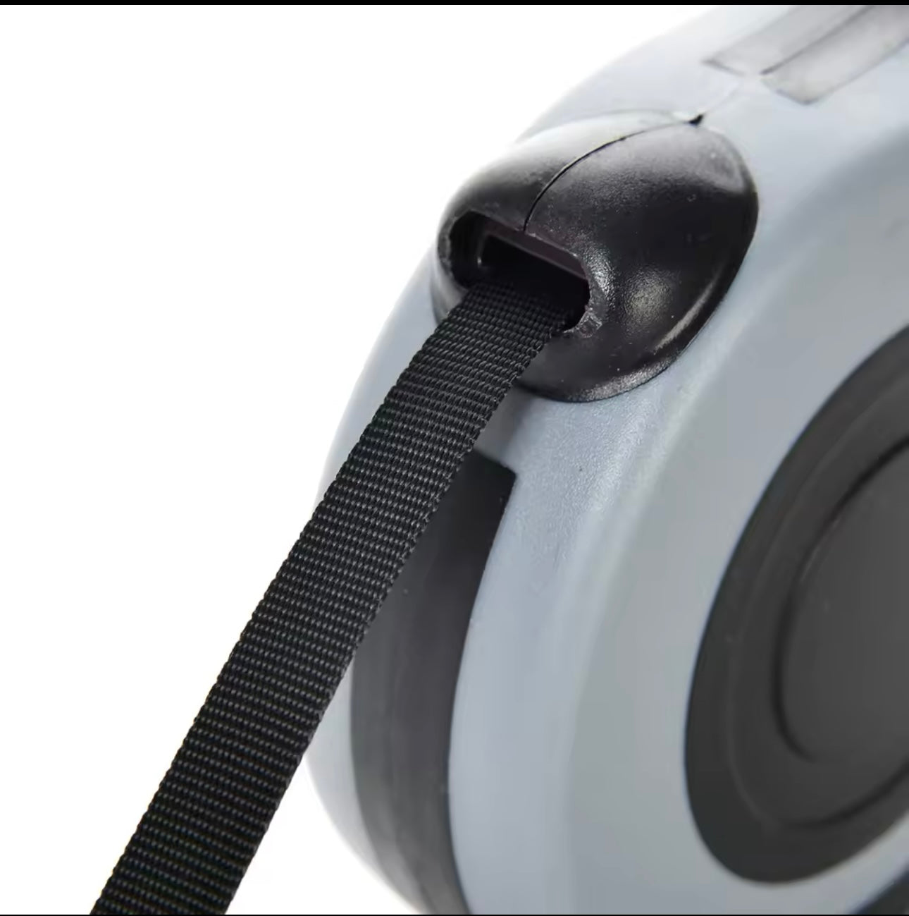 Dog Lead