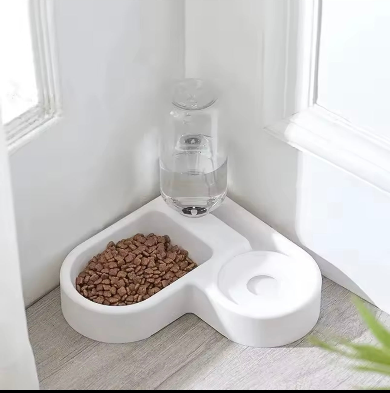 Automatic Drinking Pet Bowl